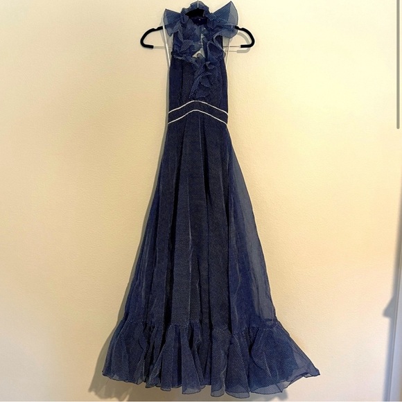 Vintage Formal Dress - Picture 1 of 4